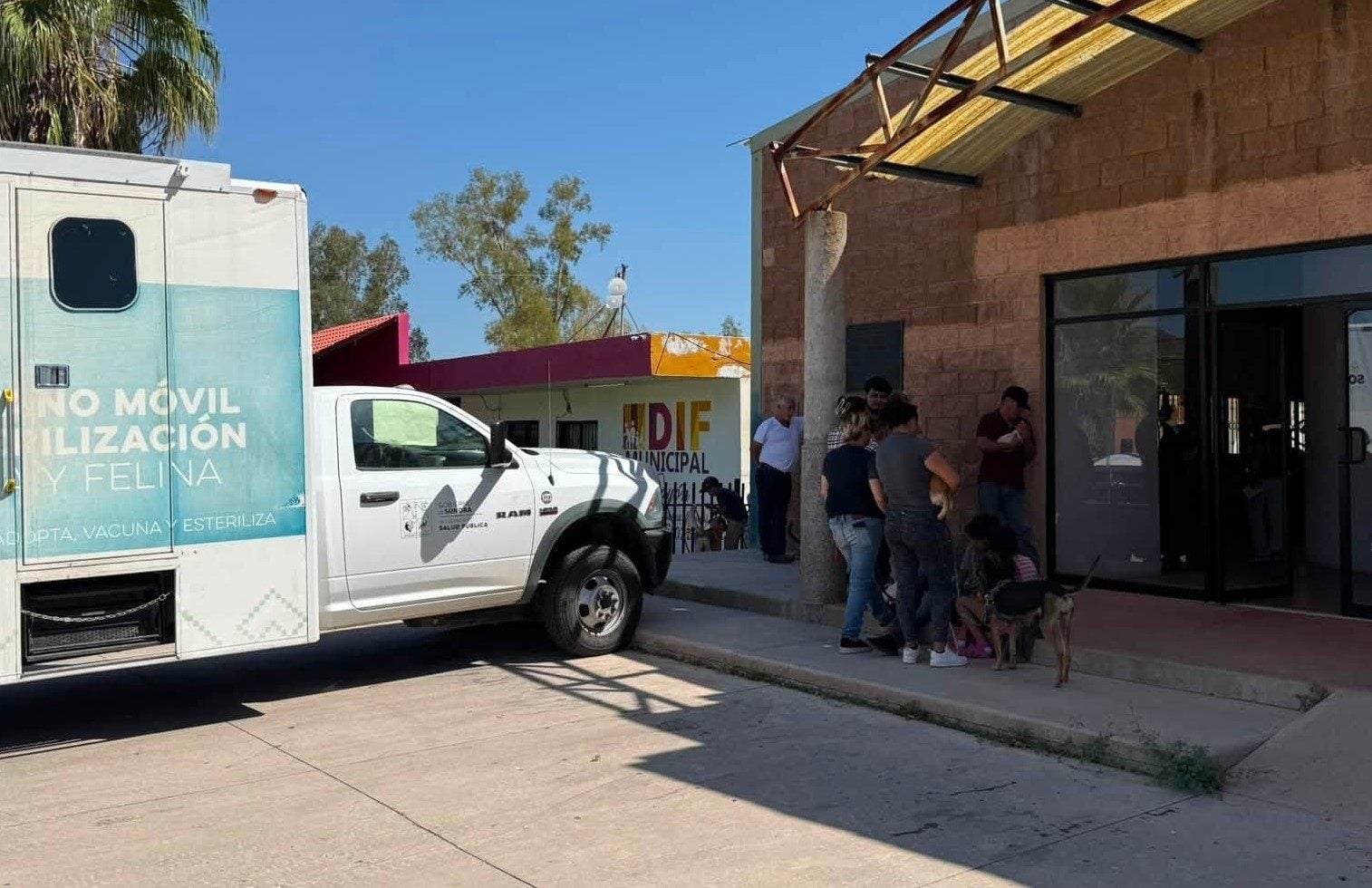 AYUNTAMIENTO REALIZA JORNADA DE ESTERILIZACIÓN CANINA Y FELINA